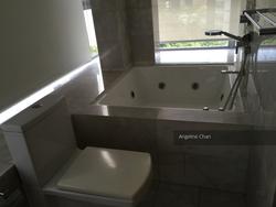 Angullia Park Residences @ Orchard (D10), Apartment #110948602